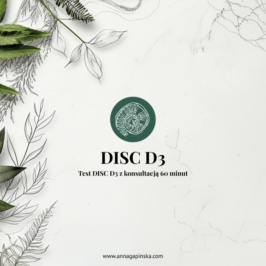 DISC D3 – Test DISC D3 z konsultacją 60 minut