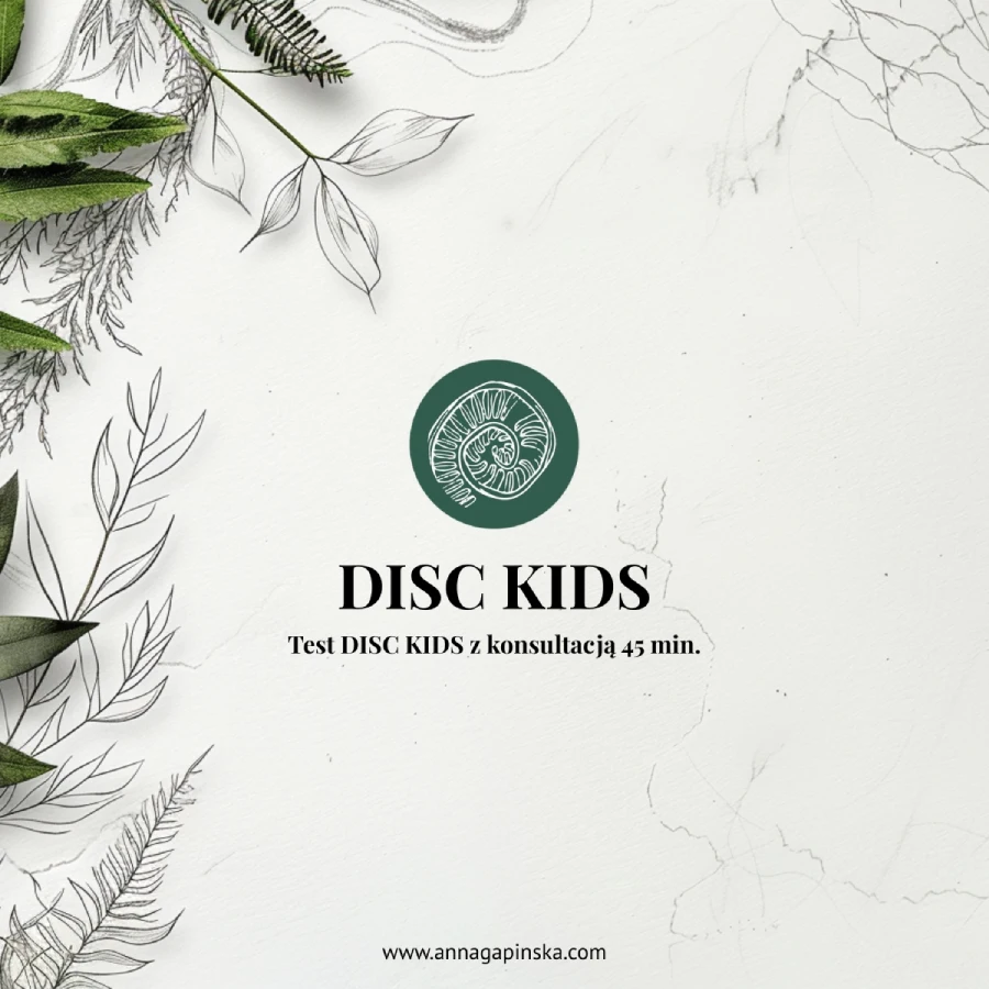 DISC KIDS – Test DISC KIDS z konsultacją 45 min.